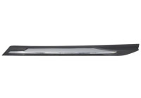 Trim/protection panel, mudguard