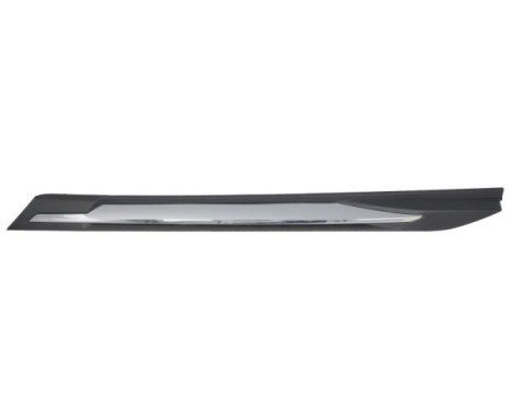Trim/protection panel, mudguard