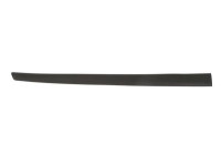 Trim/protection panel, mudguard