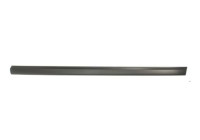 Trim/protection panel, mudguard