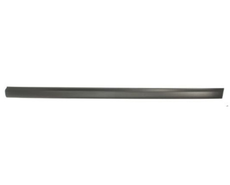 Trim/protection panel, mudguard