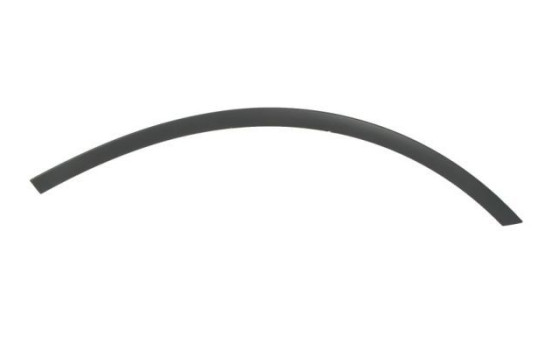 Trim/protection panel, mudguard