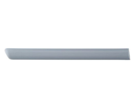 Trim/protection panel, mudguard