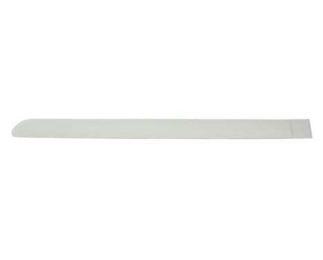 Trim/protection panel, mudguard
