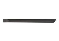 Trim/protection panel, mudguard