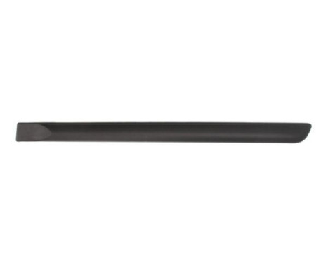 Trim/protection panel, mudguard