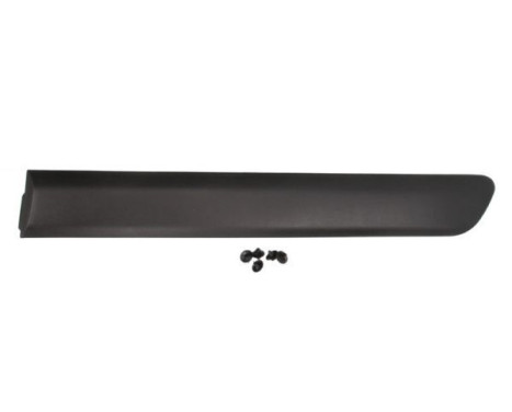 Trim/protection panel, mudguard