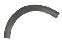 Trim/protection panel, mudguard