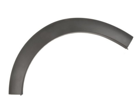 Trim/protection panel, mudguard