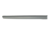 Trim/protection panel, mudguard