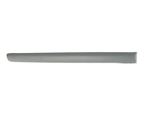 Trim/protection panel, mudguard