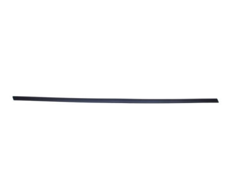 Trim/protection panel, mudguard