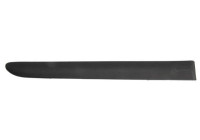 Trim/protection panel, mudguard