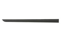 Trim/protection panel, mudguard