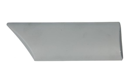Trim/protection panel, mudguard