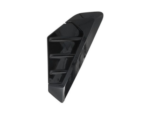 Trim/protection panel, mudguard