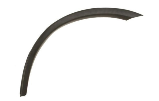 Trim/protection panel, mudguard