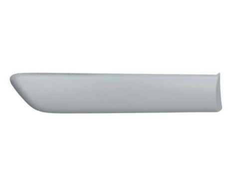 Trim/protection panel, mudguard