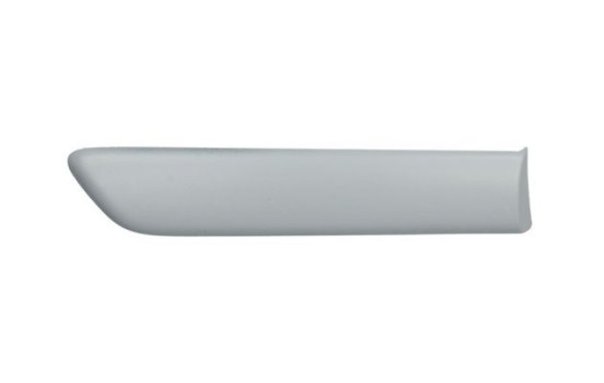 Trim/protection panel, mudguard