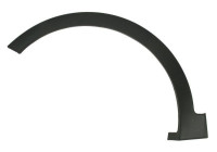 Trim/protection panel, mudguard