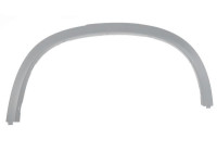 Trim/protection panel, mudguard