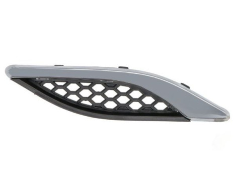 Trim/protection panel, mudguard