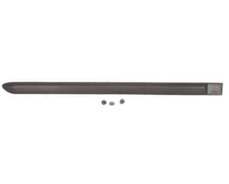 Trim/protection panel, mudguard