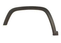 Trim/protection panel, mudguard