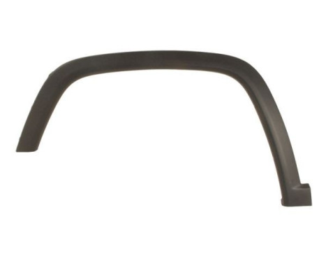 Trim/protection panel, mudguard