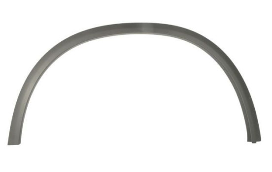 Trim/protection panel, mudguard