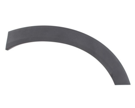Trim/protection panel, mudguard