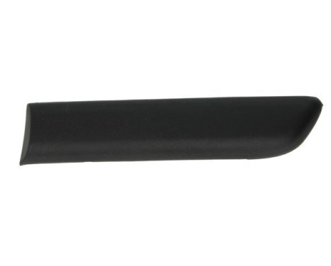 Trim/protection panel, mudguard