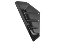 Trim/protection panel, mudguard