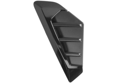 Trim/protection panel, mudguard
