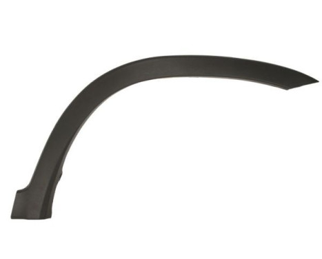 Trim/protection panel, mudguard