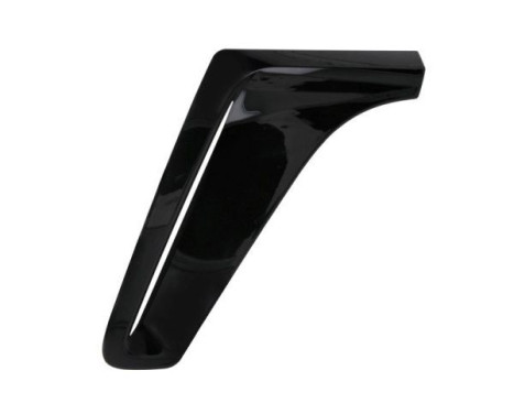 Trim/protection panel, mudguard