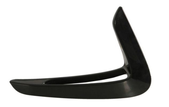 Trim/protection panel, mudguard