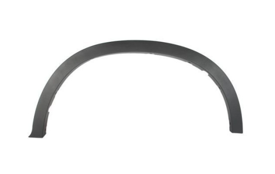 Trim/protection panel, mudguard