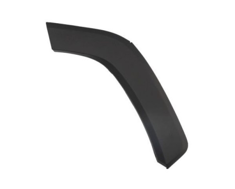 Trim/protection panel, mudguard