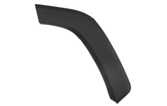 Trim/protection panel, mudguard