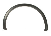 Trim/protection panel, mudguard