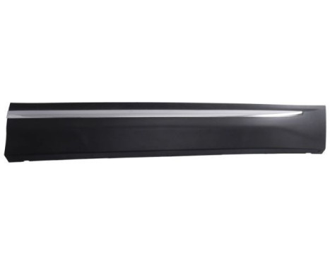 Trim/protection panel, mudguard