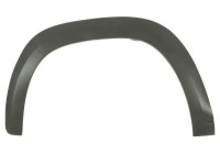 Trim/protection panel, mudguard