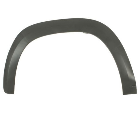 Trim/protection panel, mudguard