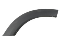 Trim/protection panel, mudguard