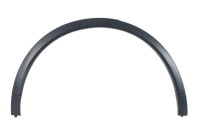 Trim/protection panel, mudguard