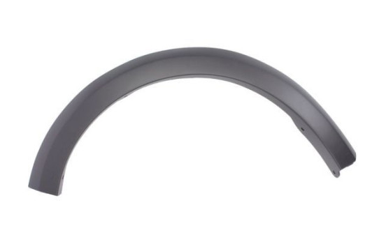 Trim/protection panel, mudguard