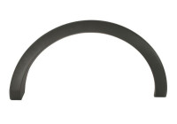 Trim/protection panel, mudguard