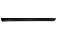 Trim/protection panel, mudguard