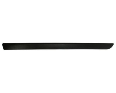 Trim/protection panel, mudguard